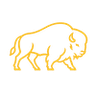 Bison Logo
